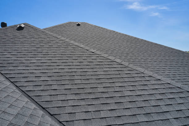 Best Rubber Roofing (EPDM, TPO)  in Lake City, GA